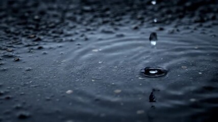 Wall Mural - Close-Up Slow Motion of Rain Droplets Creating Ripples in a Puddle on a Dark Asphalt Surface with Moody Lighting storm, Close-up, texture