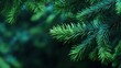 © Johannes - beautiful christmas background with green fir tree brunch close up copy space trendy moody dark toned design for seasonal quotes vintage december wallpaper natural winter holiday forest backdrop