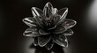 © Zobia - Sophisticated 3D rendering of a black glossy lotus flower on a dark reflective surface, minimalist luxury design for high-end branding, abstract art, and modern aesthetic backgrounds.