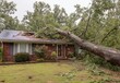 © Jannik - tree has fallen on the roof, tornado storm