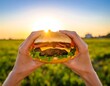 © tatibu - A burger held aloft against a sunset