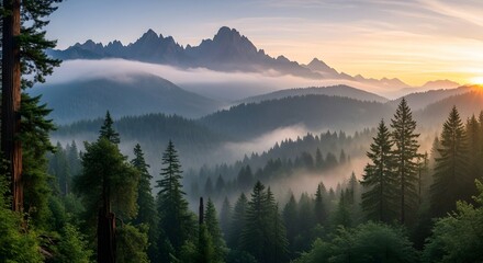 Naklejka na meble Misty Mountain Range Sunrise Over Pine Forest Layers Of Fog And Trees Majestic Nature Landscape