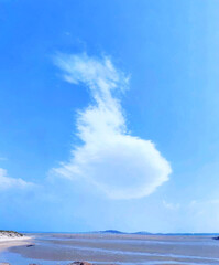 Wall Mural - Cloud Shadows over the Seashore. A beach scene under a clear blue sky, with a large, uniquely - shaped white cloud floating gracefully.  
