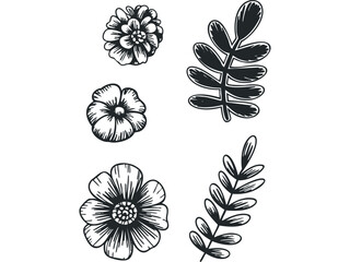 Wall Mural - Hand Drawn Flower and Leaf Sketch Collection. Vector hand drawn illustration
