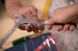 © warodom - Two handsome mechanics are working together on a car repair.