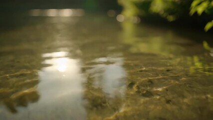 Wall Mural - Shimmering sun dapples play across the clear water surface of a pond from an abstract low-angle perspective outdoor, liquid, surface
