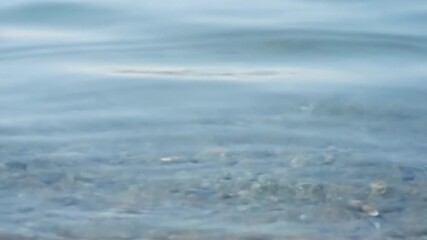 Wall Mural - Serene surface ripples gently spread across calm, clear water under soft daylight abstract, clear, soft daylight