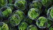 © wu - Enormous crystalline virus structures lie dormant within emerald algae, their geometry suggesting hidden power.