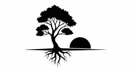 silhouette of palm tree