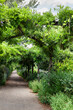 Lush garden in the city