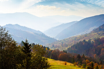 Wall Mural - beautiful afternoon in carpathian mountains. scenic autumn weather. forest in colorful foliage. distant valley in haze