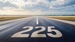 © stock.finder - Asphalt Road Leading to 225 Number Painted on Road Surface