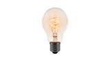 Glowing Edison Light Bulb with Spiral Filament Keywords: light bulb, edison bulb, filament