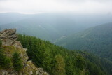 Panorama na górskie szczyty w Czechach. Skały i liczne góry pokryte sosnami.