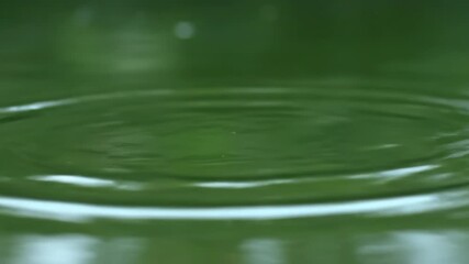 Wall Mural - Ultra close-up of gentle ripples spreading across a pond's glassy surface in soft, diffused daylight close-up, water, background