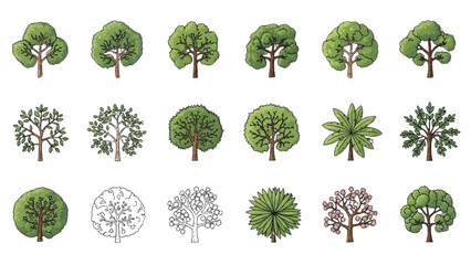 Wall Mural - Top View Tree Vector Icons – Set of Illustrations for Landscape Design Plans AI EPS PNG JPEG
