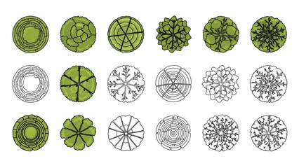 Wall Mural - Top View Tree Vector Icons – Set of Illustrations for Landscape Design Plans AI EPS PNG JPEG
