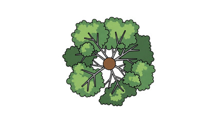 Wall Mural - Architectural Tree Line Drawings – Minimal CAD Side View Forest Section Outline Set for Landscape Design AI EPS PNG JPEG.
