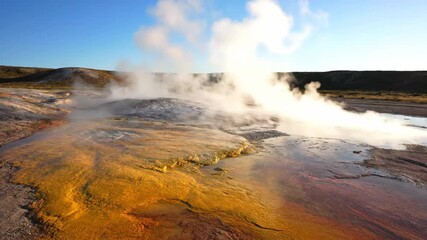 Wall Mural - the grand prismatic spring's geothermal water creates a vibrant yellowstone national park landscape 