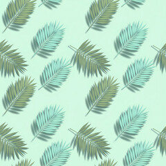  Seamless pattern of tropical palm leaves with shadows on a pastel mint green background. Modern summer botanical illustration
