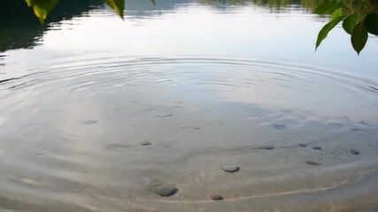 Wall Mural - Serene surface ripples gently spread across calm, clear water under soft daylight pristine, gentle, nature