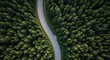 © IMAGINATION STUDIO.x - Serene aerial view of a winding asphalt road cutting through a dense, vibrant emerald green pine forest landscape
