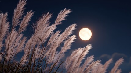 Wall Mural - A bright full moon rising in the clear autumn night sky, silver pampas grass (susuki) in the foreground swaying in the evening breeze
