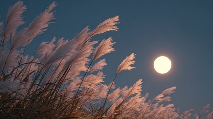 Wall Mural - A bright full moon rising in the clear autumn night sky, silver pampas grass (susuki) in the foreground swaying in the evening breeze
