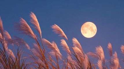 Wall Mural - A bright full moon rising in the clear autumn night sky, silver pampas grass (susuki) in the foreground swaying in the evening breeze
