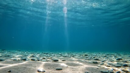 Wall Mural - hypnotic slow-motion shot of sun rays piercing through the clear water of a shallow pond, illuminati