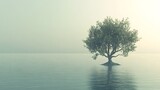 Solitary Tree in Calm Water, Surreal Landscape, Dreamlike Scenery