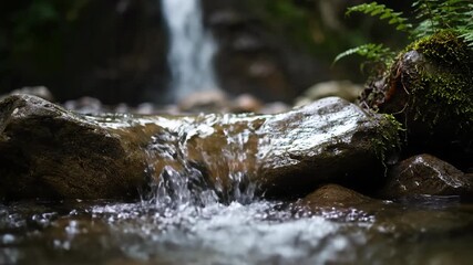 Wall Mural - Ethereal Slow Motion of Water Flowing Over Smooth Rocks at the Edge of a Forest Waterfall gentle, lush, shallowdepthoffield