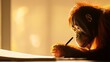 © MaM AL - An orangutan thoughtfully writes with a pencil in the warm glow of sunlight