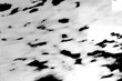 © Martine - Black and white background with halftone and military camouflage texture. Abstract background with grid and holes.