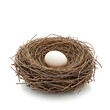 © mhmdyatt - Egg in Bird Nest Resting Isolated on White Background