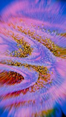 Wall Mural - Abstract Colorful Swirl with Dots