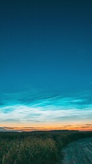 Wall Mural - Time Lapse Night Starry Sky With Glowing Stars Above Countryside Landscape With Country Road And Wheat Fields. Noctilucent Clouds Above Rural Wheat Field In Summer. Summertime. TimeLapse Time-Lapse