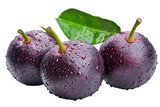 Dew-kissed garcinia fruit isolated on transparent background