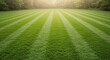 © Ольга Бошарова - Grass cutting lines on freshly mowed lawn in vibrant green environment