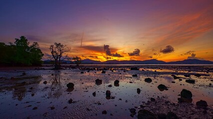 Wall Mural - time lapse reveals a serene coastal landscape bathed in warm sunset. The mangrove canopy forms a tapestry below, with golden tones shimmering off tidal inlets and sea waters. As the sun dips lower