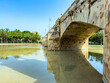 Exploring the serenity of an ancient stone bridge under a clear blue sky in valencia's park