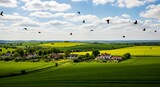 Birds flying over rural landscape featuring green fields and houses