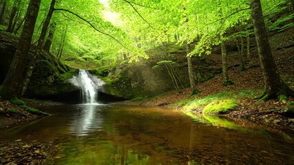 Wall Mural - serene forest scene with a small waterfall cascade and clear water reflections, wide angle cinematic