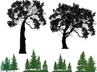 Wall Mural - separeted trees and forest compositions isolated on white