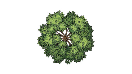 Wall Mural - Minimal CAD Tree Line Vector – Side View Outline Set of Graphic Tree Elements for Architecture and Landscape Design AI EPS PNG JPEG