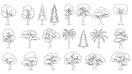 Wall Mural - Minimal CAD Tree Line Vector – Side View Outline Set of Graphic Tree Elements for Architecture and Landscape Design AI EPS PNG JPEG