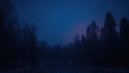 Wall Mural - Snow-covered enchanted woods at dusk in a shadowy winter landscape