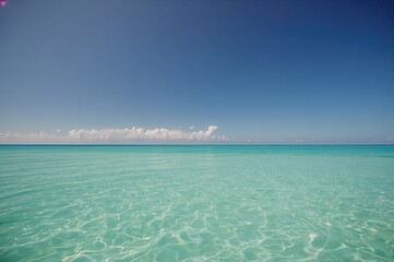 Wall Mural - Tranquil turquoise ocean under a bright sunny sky. Stunning natural scenery with ample room for text.