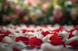 © CreativeBro - Close-up of red rose petals strewn across the earth with a softly focused bloom in the backdrop, wedding, nature, love, white, floral, beauty, rose, red, beautiful