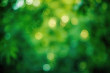 Wall Mural - Blurred photos and bokeh effects on a green textured backdrop, symbolizing fresh nature.